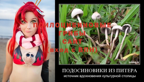 Альфа ПВП Арсеньев