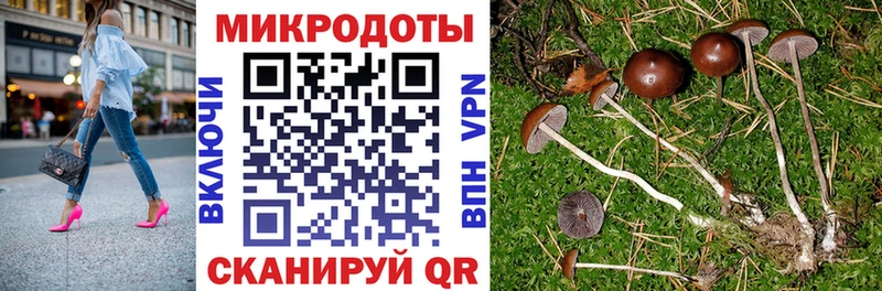 купить   Можга  Псилоцибиновые грибы ЛСД 